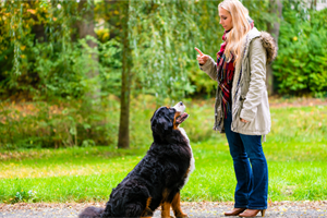 Positive Reinforcement Dog Training: Training Your Dog To Make Good Choices