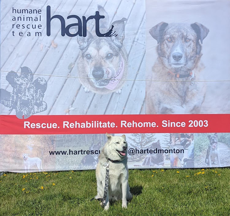 Hart Rescue